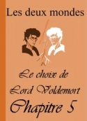 Alixe: Les Deux Mondes-Le choix de Lord Voldemort-Chapitre 5