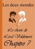 Alixe: Les Deux Mondes-Le choix de Lord Voldemort-Chapitre 7