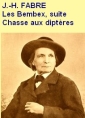 Livre audio: Jean-Henri Fabre - Souvenirs entomologiques, Serie 1, 17, Les Bembex, suite