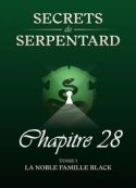 Mathilde Vouin: Secrets de Serpentards-Tome 1 Chapitre 28