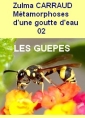 Livre audio: Zulma Carraud - Recueil. Les Metamorphoses d’une goutte d’eau, 02, Les Guêpes