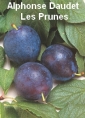 Livre audio: Alphonse Daudet - Les Prunes