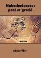 Livre audio: Adrien Vély - Nabuchodonosor puni et gracié