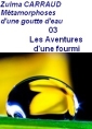 Livre audio: Zulma Carraud - Recueil Les Métamorphoses, 03, Les aventures d’une fourmi
