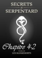 Livre audio: Mathilde Vouin - Secrets de Serpentards-Tome 3 Chapitre 4 partie 2