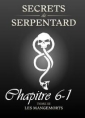 Livre audio: Mathilde Vouin - Secrets de Serpentards-Tome 3 Chapitre 6 partie 1
