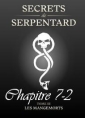 Livre audio: Mathilde Vouin - Secrets de Serpentards-Tome 3 Chapitre 7 partie 2