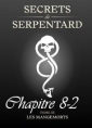 Livre audio: Mathilde Vouin - Secrets de Serpentards-Tome 3 Chapitre 8 partie 2