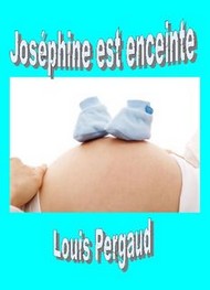 Illustration: Joséphine est enceinte - Louis Pergaud