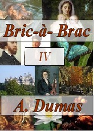 Illustration: BRIC à BRAC 4 - Alexandre Dumas