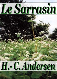 Hans Christian Andersen - Le Sarrasin