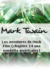 Illustration: Les aventures de Huck Finn (chapitre 14 une vendetta américaine) - Mark Twain