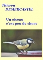 Livre audio: Thierry Demercastel - Un oiseau c'est peu de chose