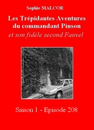 Illustration: Les Trépidantes Aventures du commandant Pinson-Episode 208 - Sophie Malcor