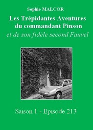 Illustration: Les Trépidantes Aventures du commandant Pinson-Episode 213 - Sophie Malcor