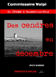 Illustration: Des cendres... en décembre - Jean Darrig
