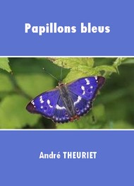 Illustration: Papillons bleus - André Theuriet