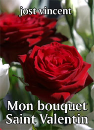 Illustration: Mon bouquet Saint Valentin - jost vincent