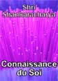 shri shankaracharya: Connaissance du Soi