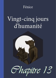 Illustration: 25 Jours d'Humanité-Chapitre 13 - Fénice