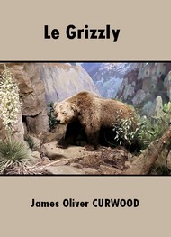 Illustration: Le Grizzly - James oliver Curwood