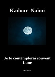 Illustration: Je te comtemplerai souvent Lune - Kadour NAÏMI