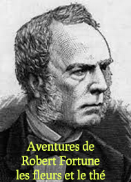 Illustration: Aventures de Robert Fortune dans ses voyages en Chine  - Robert Fortune