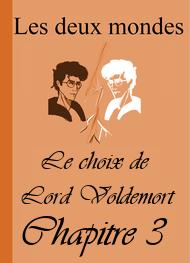 Illustration: Les Deux Mondes-Le choix de Lord Voldemort-Chapitre 3 - Alixe