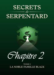 Illustration: Secrets de Serpentards-Tome 1 Chapitre 2 - Mathilde Vouin