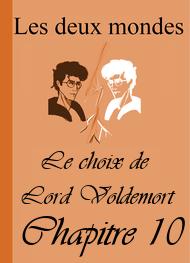 Illustration: Les Deux Mondes-Le choix de Lord Voldemort-Chapitre 10 - Alixe