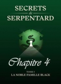 Mathilde Vouin: Secrets de Serpentards-Tome 1 Chapitre 4