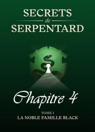 Illustration: Secrets de Serpentards-Tome 1 Chapitre 4 - Mathilde Vouin