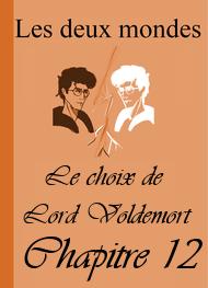 Illustration: Les Deux Mondes-Le choix de Lord Voldemort-Chapitre 12 - Alixe