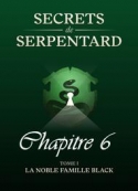 Mathilde Vouin: Secrets de Serpentards-Tome 1 Chapitre 6