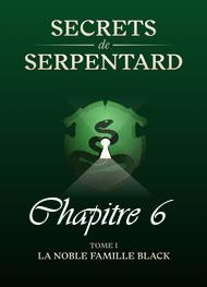 Illustration: Secrets de Serpentards-Tome 1 Chapitre 6 - Mathilde Vouin