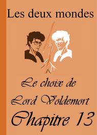 Illustration: Les Deux Mondes-Le choix de Lord Voldemort-Chapitre 13 - Alixe