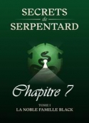 Mathilde Vouin: Secrets de Serpentards-Tome 1 Chapitre 7