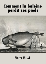 Illustration: Comment la baleine perdit ses pieds - Pierre Mille