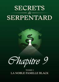 Illustration: Secrets de Serpentards-Tome 1 Chapitre 9 - Mathilde Vouin