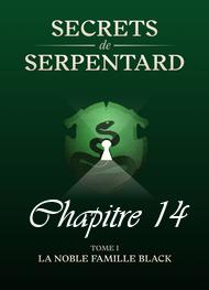 Illustration: Secrets de Serpentards-Tome 1 Chapitre 14 - Mathilde Vouin