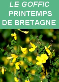 Illustration: Printemps de Bretagne - Charles Le Goffic