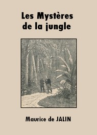 Illustration: Les Mystères de la jungle - Maurice de Jalin