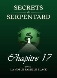 Illustration: Secrets de Serpentards-Tome 1 Chapitre 17 - Mathilde Vouin