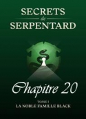 Mathilde Vouin: Secrets de Serpentards-Tome 1 Chapitre 20
