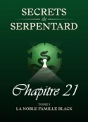 Mathilde Vouin: Secrets de Serpentards-Tome 1 Chapitre 21