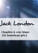 Jack London: Chapitre 6 croc blanc (le louveteau gris)