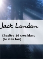 Livre audio: Jack London - Chapitre 16 croc blanc (le dieu fou)