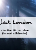 Jack London: chapitre 18 croc blanc (la mort adhérente)