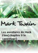 Mark Twain: Les aventures de Huck Finn(chapitre 9 le sauvetage)