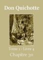 Livre audio:  - Don Quichotte (Tome 01-Livre 04-Chapitre 30) Version 2